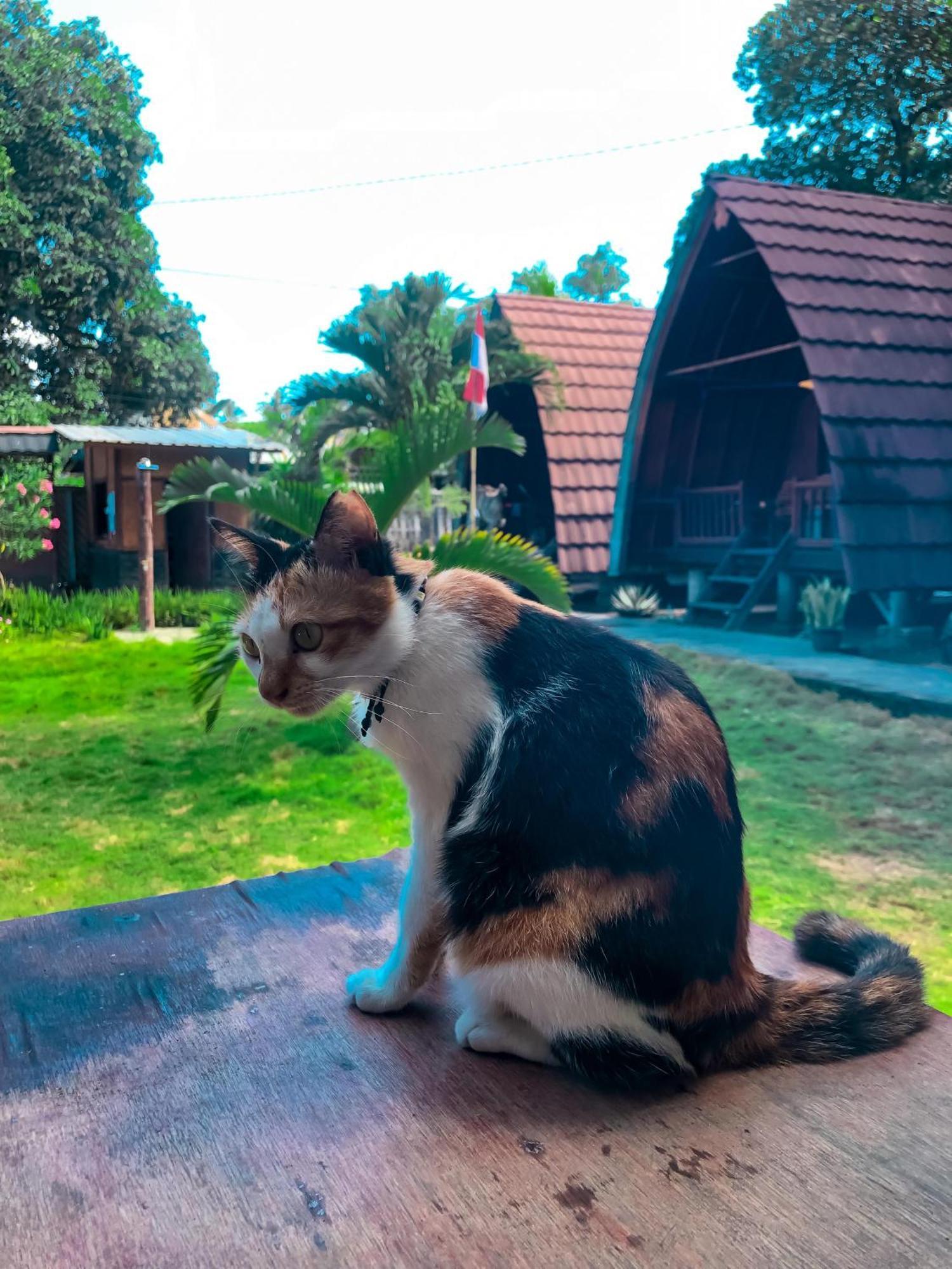 Leaf Coco Bungalow غيلي آير المظهر الخارجي الصورة