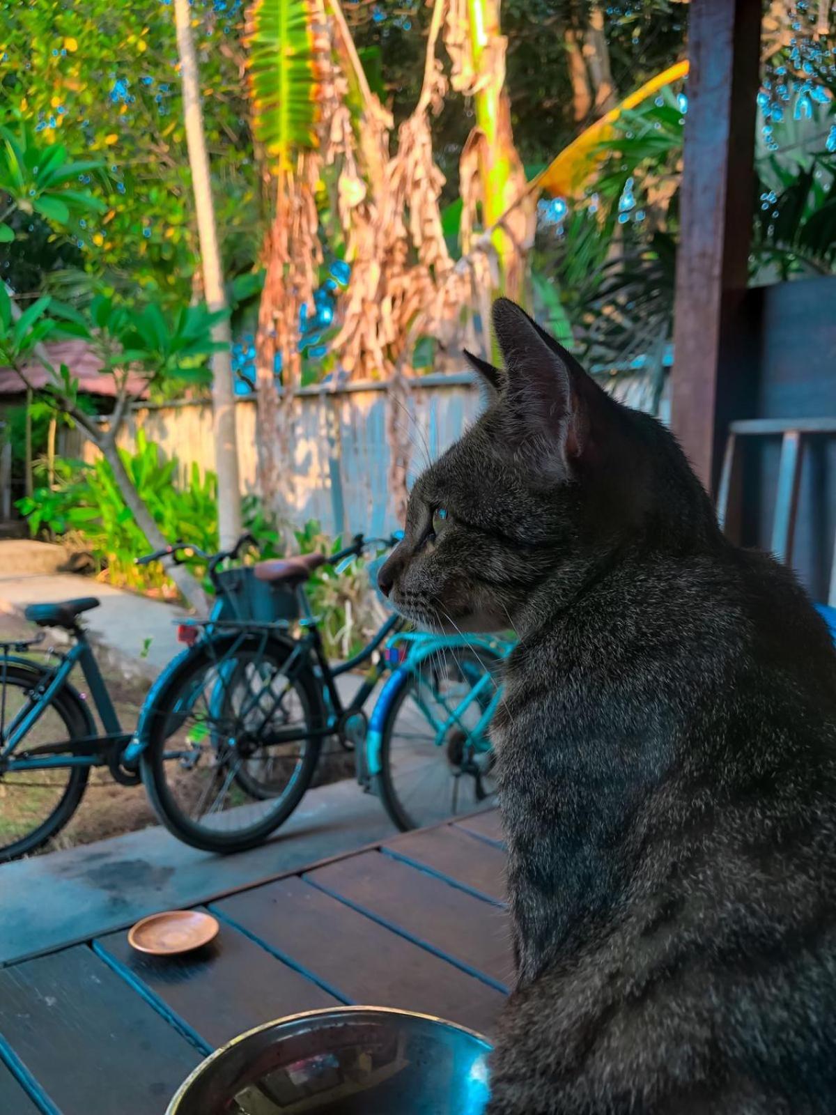 Leaf Coco Bungalow غيلي آير المظهر الخارجي الصورة