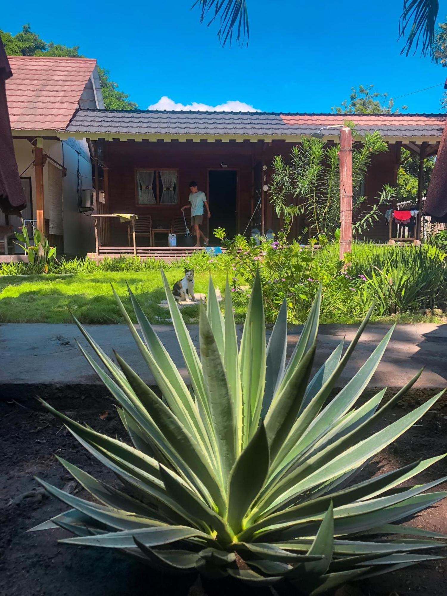 Leaf Coco Bungalow غيلي آير المظهر الخارجي الصورة